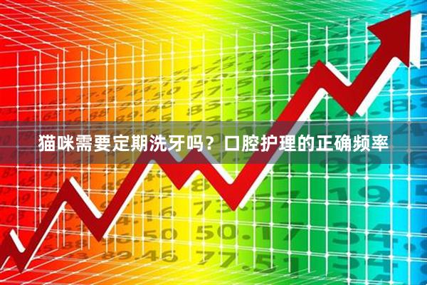 猫咪需要定期洗牙吗？口腔护理的正确频率