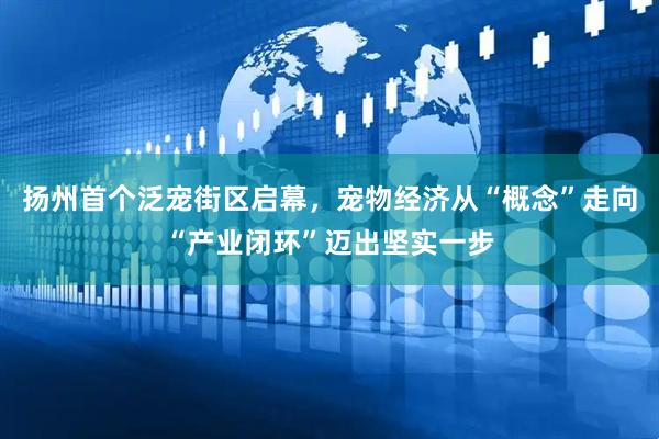 扬州首个泛宠街区启幕，宠物经济从“概念”走向“产业闭环”迈出坚实一步