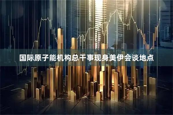 国际原子能机构总干事现身美伊会谈地点