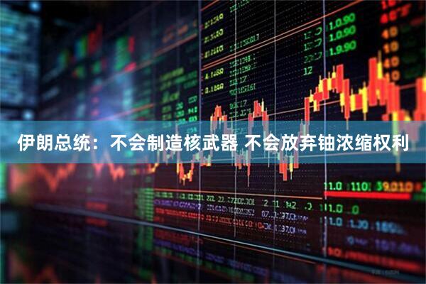 伊朗总统：不会制造核武器 不会放弃铀浓缩权利