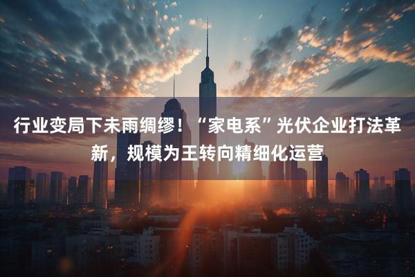 行业变局下未雨绸缪！“家电系”光伏企业打法革新，规模为王转向精细化运营